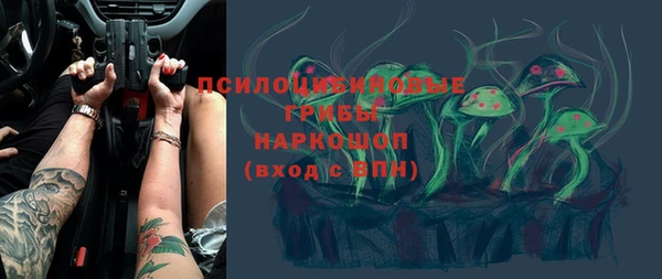ПСИЛОЦИБИНОВЫЕ ГРИБЫ Алексин