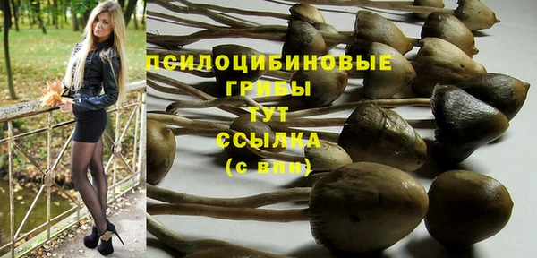 2c-b Алзамай