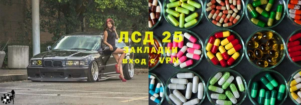 ПСИЛОЦИБИНОВЫЕ ГРИБЫ Алексин